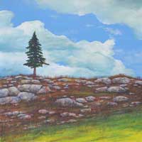 Virginia Pine