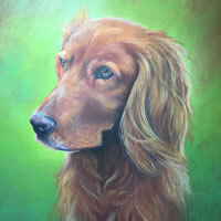 Oggie in pastel