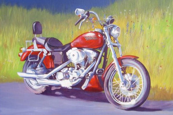 Harley D